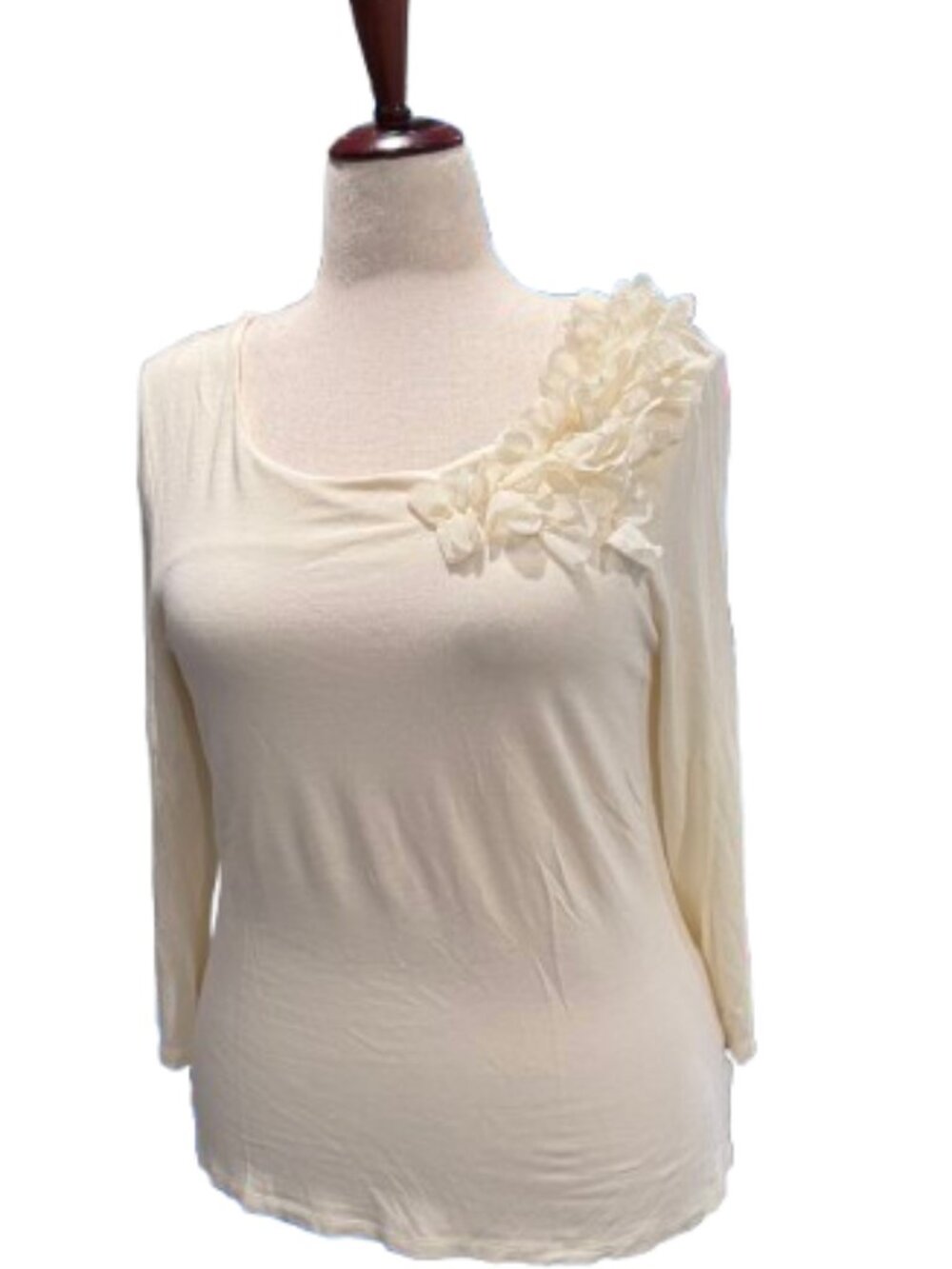 Charter Club Dainty Feminine Ivory Floral Appliqué Long-Sleeve Top (Size P/M)